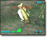 pro bass fishing 2003 play game